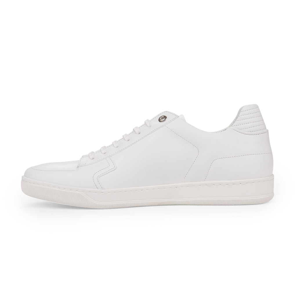 White Low Top Sneakers