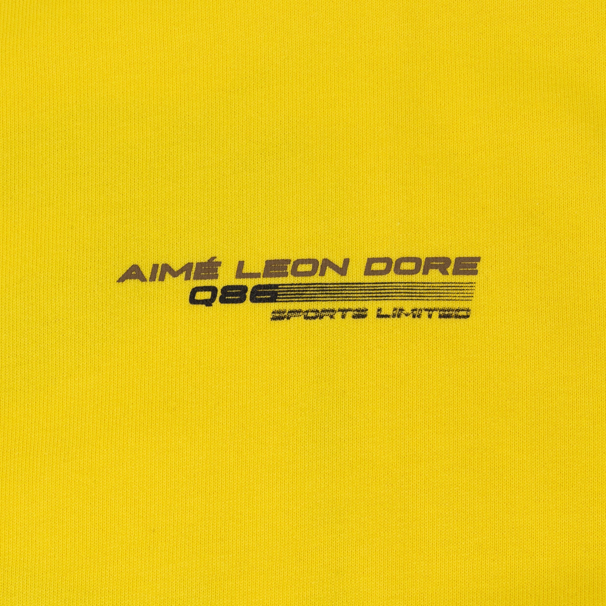 Dandelion Q86 Car T-Shirt