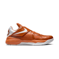 Nike Zoom KD IV